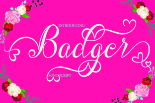 Badger: A Characterful Display Font for Bold Brand Storytelling
