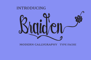 Braiden: A Practical Guide to Modern Digital Workflows