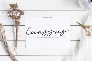 Cuassus: The Modular Framework Reshaping How Professionals Approach Adaptive Systems