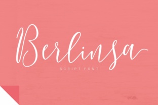 Evaluating Berlinsa: A Practical Guide for Decision-Makers