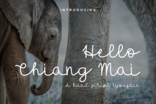 Hello Chiang Mai: Redefining Work, Life, and Community for the Modern Professional