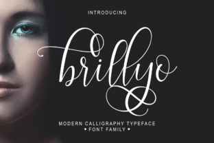 How Brillyo Helps You Move from Random Effort to Strategic Results