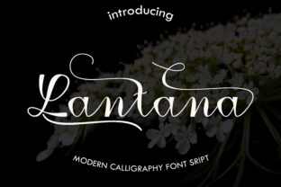 Lantana: A Versatile Plant for Modern Landscapes