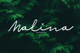 Malina: Your Creative Project Hub