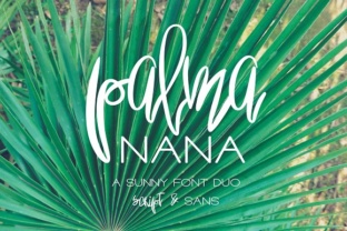 Palma Nana: The Compact Palm That Elevates Indoor and Outdoor Spaces