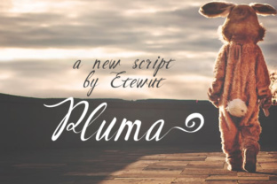 Pluma: Your All-in-One Content Creation Companion