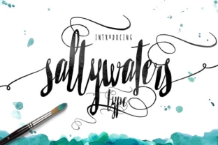 Saltywaters: Redefining Hydration for the Modern Professional