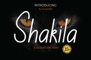 Shakila: A Practical Evaluation of Its Approach and Applications
