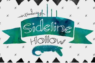 Sideline Hollow: A Practical Evaluation of Its Value for Independent Professionals