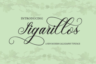 Sigarillos – A Closer Look at the Small Cigar Experience