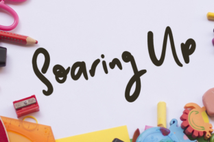 Soaring Up: A Practical Framework for Elevating Your Work and Process