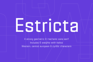 The Estricta Family: Principles, Applications, and Practical Insights