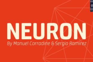 The Neuron Family: Exploring Neural Network Architectures for Practical Intelligence