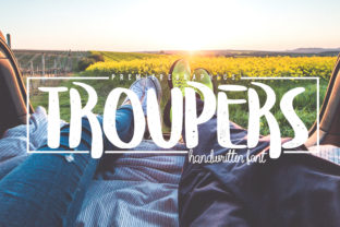 Troupers: A Practical Evaluation for Professionals and Creators