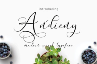 Understanding Andieny: A Practical Guide to Modern Workflow Optimization