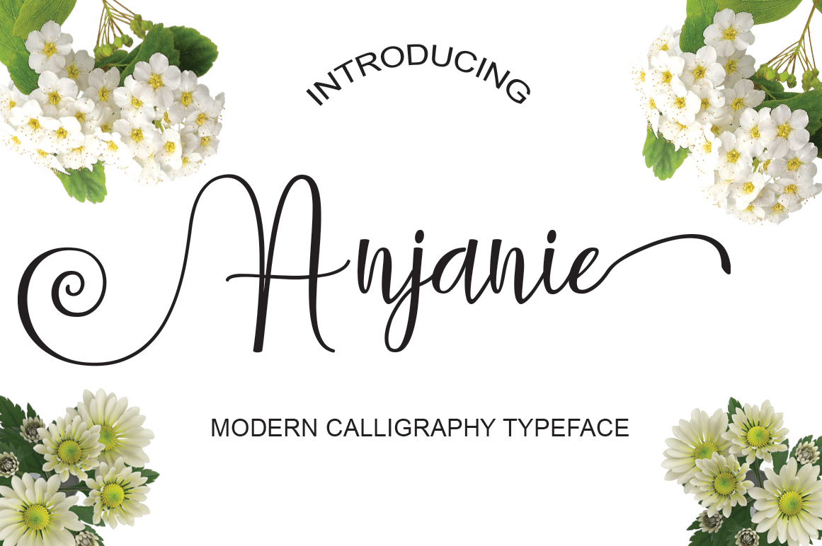 Understanding Anjanie: A Modern Approach to Mindful Productivity and Creative Flow