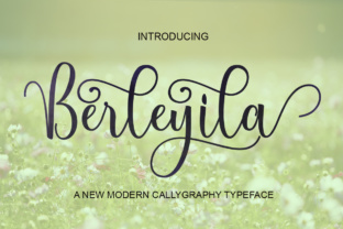 Understanding Berleyila: A Practical Guide to Evaluating Its Fit for Your Needs