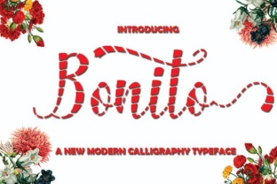 Unlocking Efficiency with Bonito: A Practical Guide for Modern Professionals
